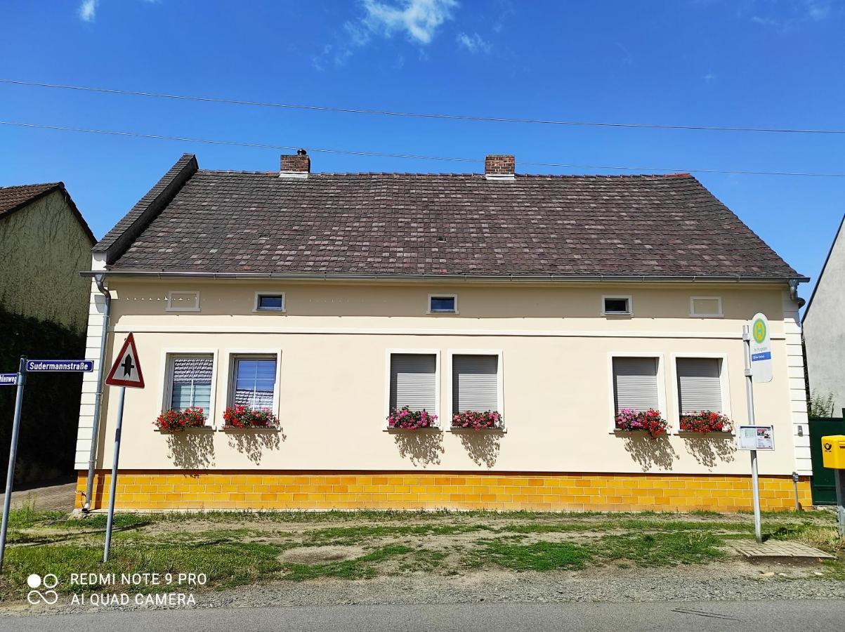 Apartment Gästewohnung In Cottbus-klein Ströbitz